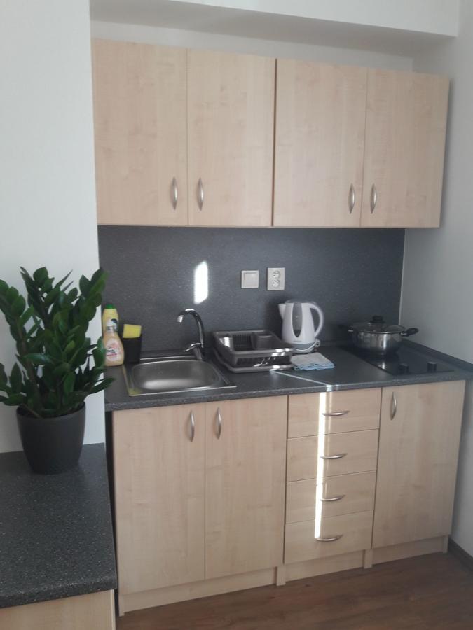 Apartmany Lipa Tábor Eksteriør billede