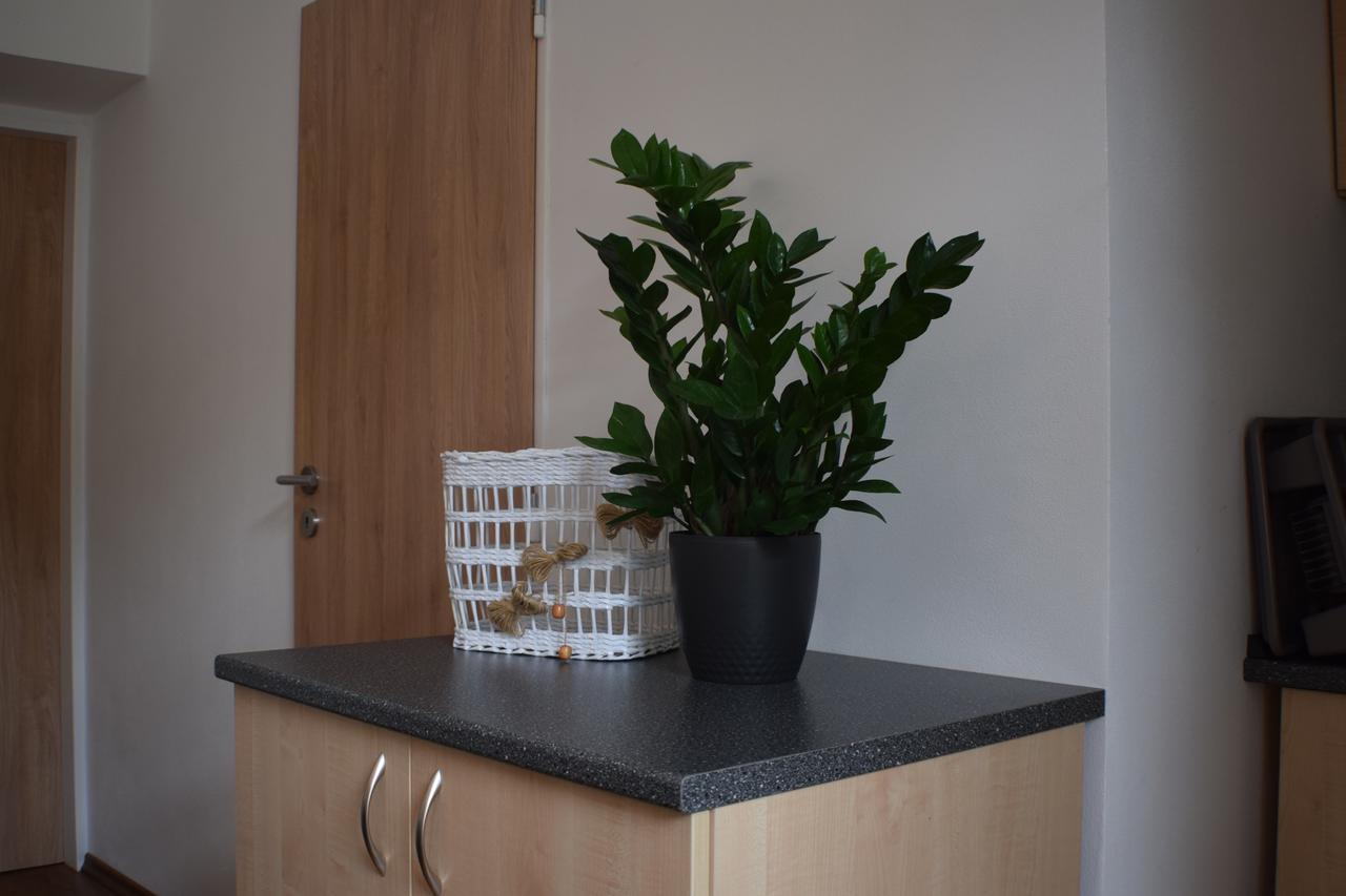 Apartmany Lipa Tábor Eksteriør billede